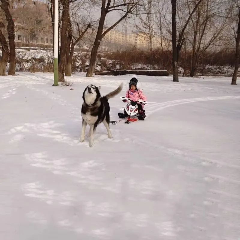 Winter Outdoor Ski Equipment – - Outdoor Adventure Resorts review and price